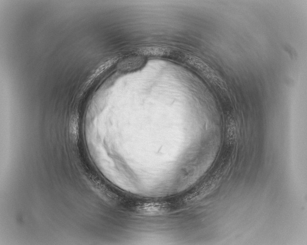 X0000116020064200912041758