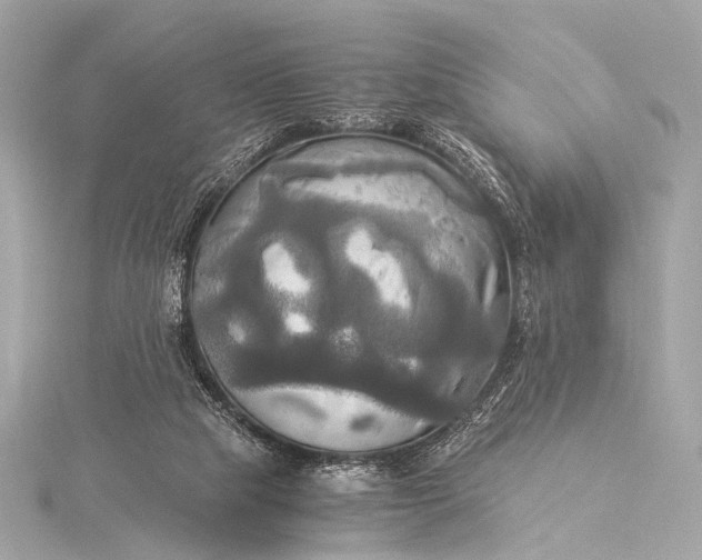 X0000116020065200912041758