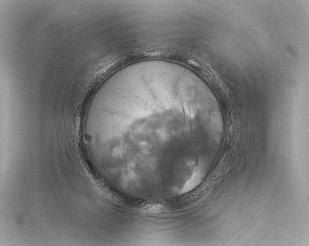 X0000116020066200912041758