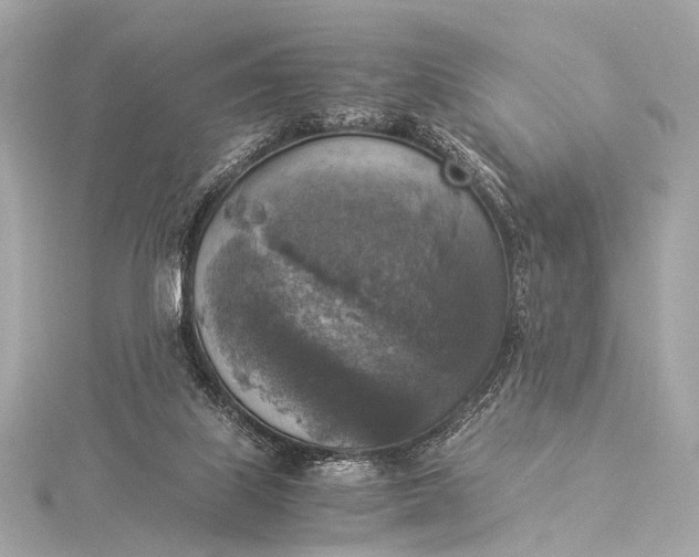 X0000116020067200912041758