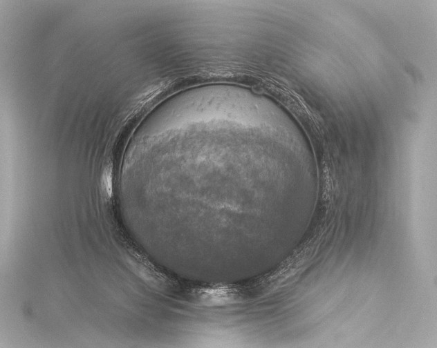 X0000116020068200912041758