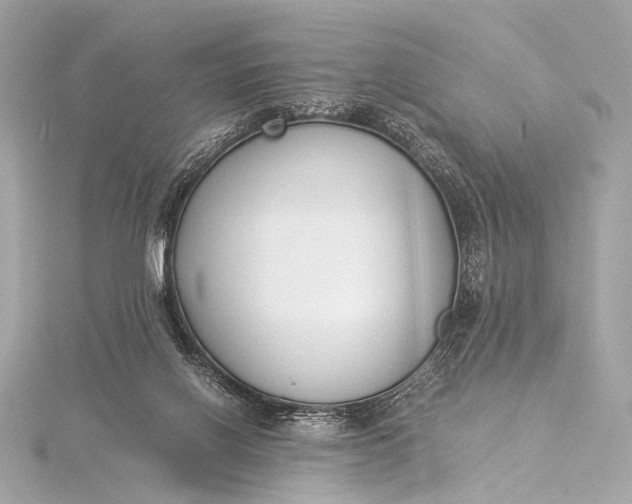 X0000116020070200912041758