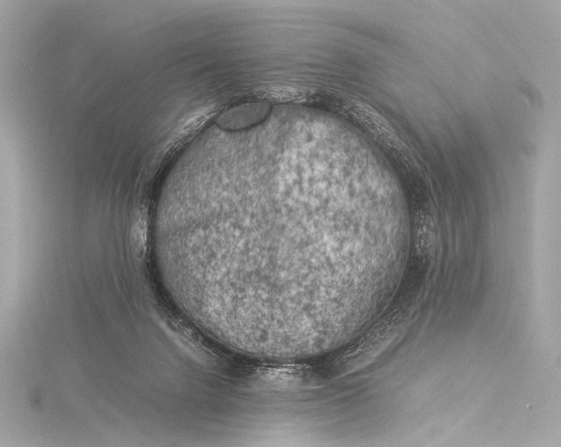 X0000116020072200912041758