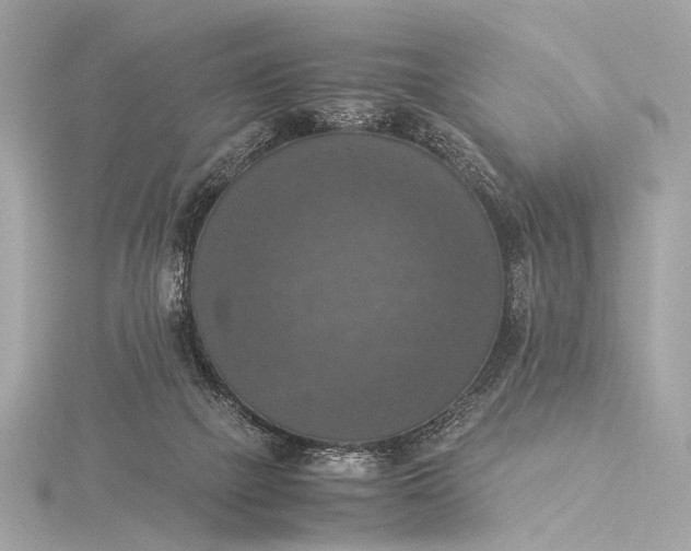 X0000116020073200912041759