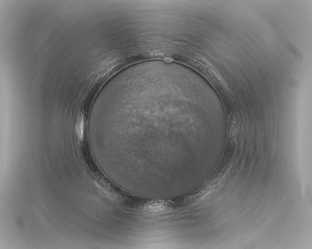 X0000116020076200912041759