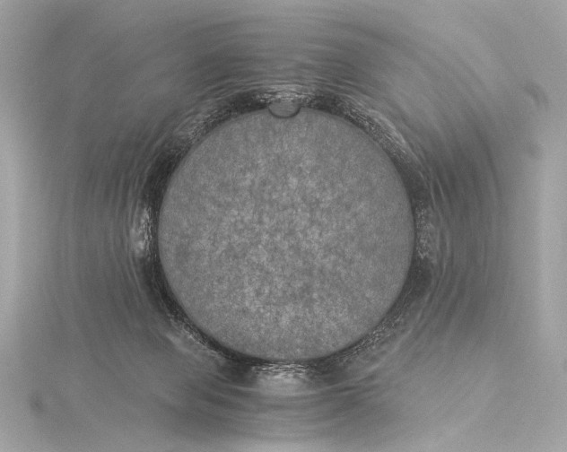 X0000116020077200912041759