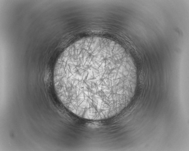 X0000116020079200912041759