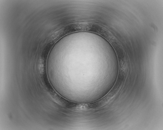 X0000116020080200912041759