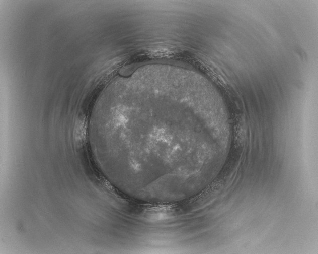 X0000116020081200912041759