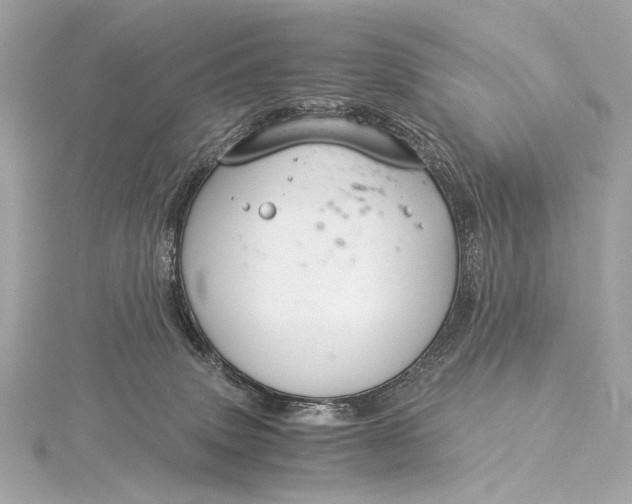 X0000116020083200912041759