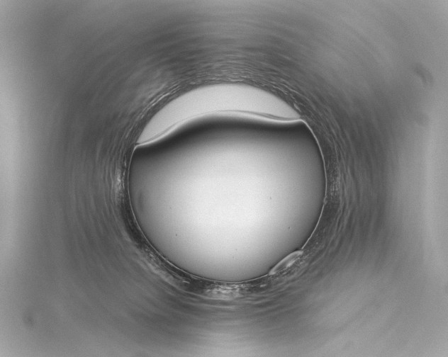 X0000116020084200912041759