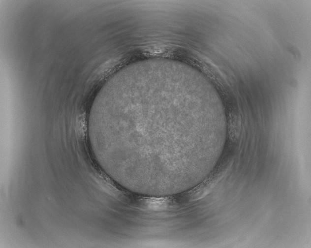 X0000116020085200912041759