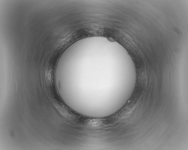 X0000116020088200912041759