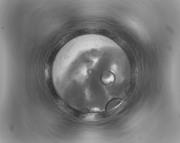 X0000116020090200912041759