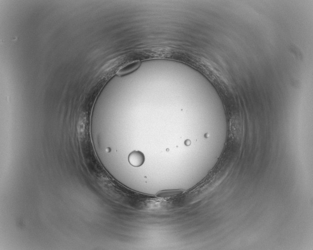 X0000116020092200912041759