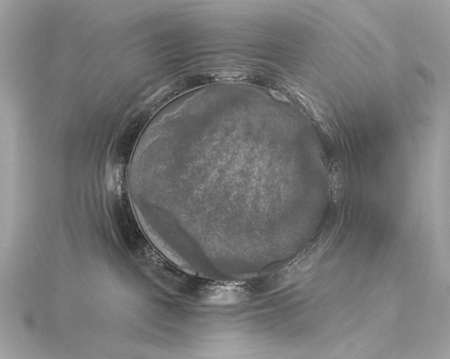 X0000116020093200912041759