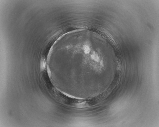 X0000116020095200912041759