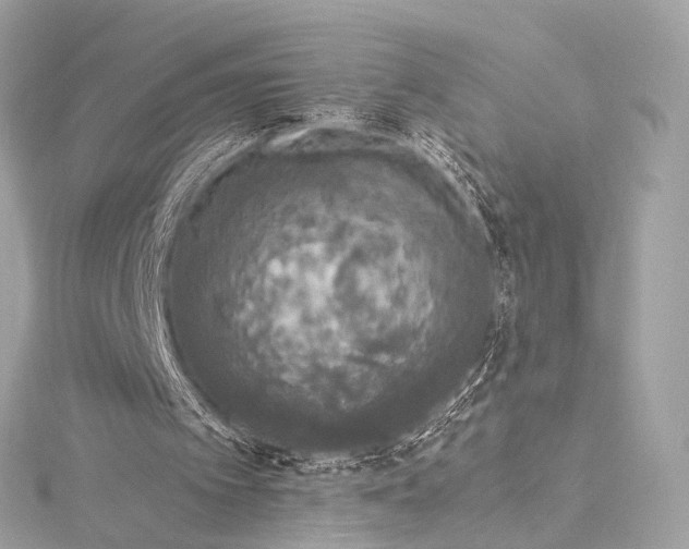 X0000116020097200912041758