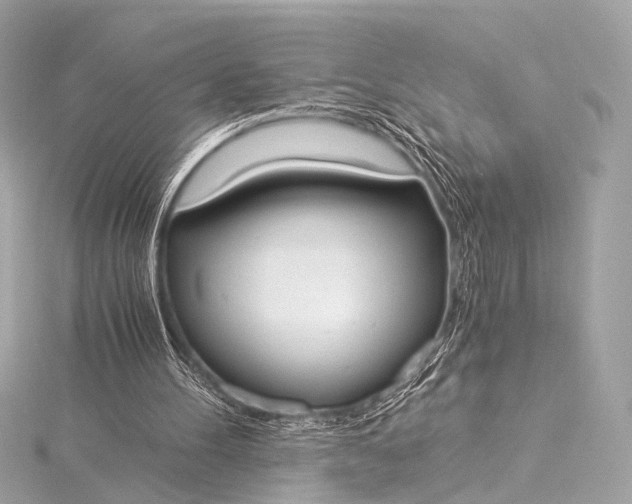 X0000116020100200912041758