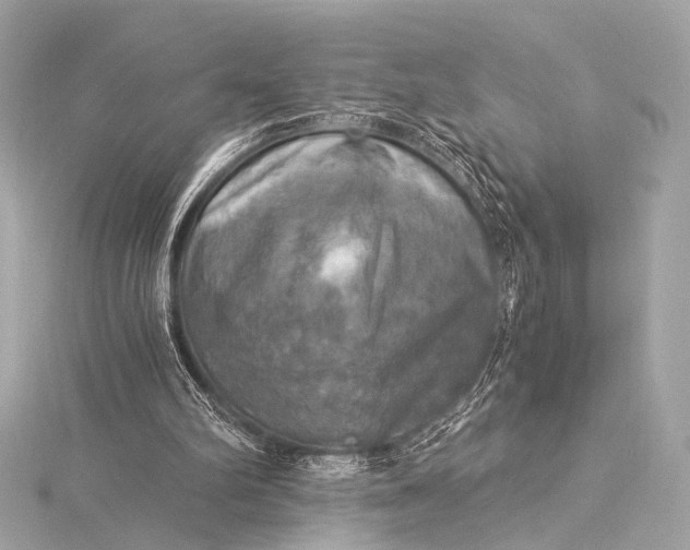 X0000116020102200912041758