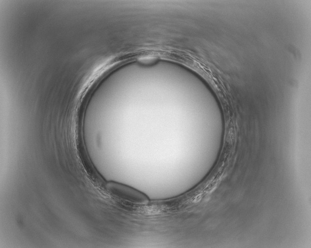 X0000116020103200912041758