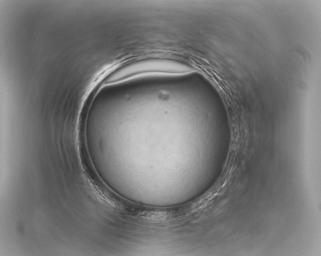 X0000116020104200912041758