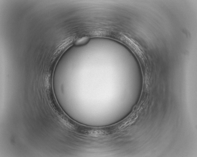 X0000116020105200912041758