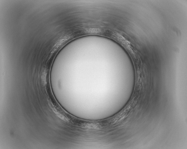 X0000116020106200912041758