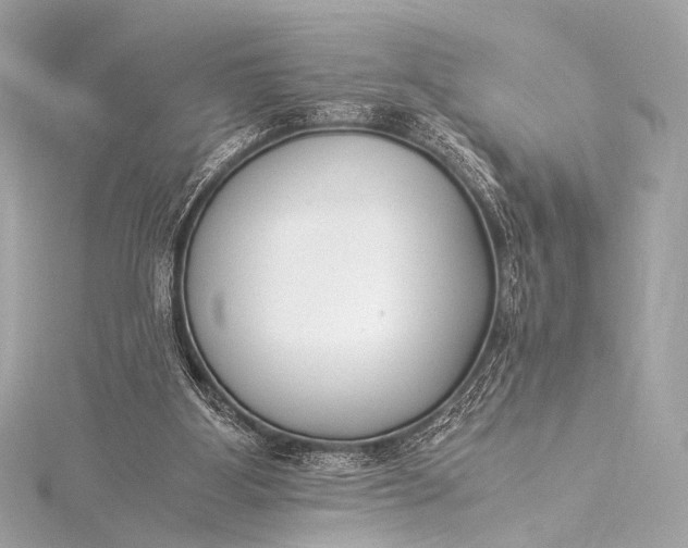 X0000116020107200912041758