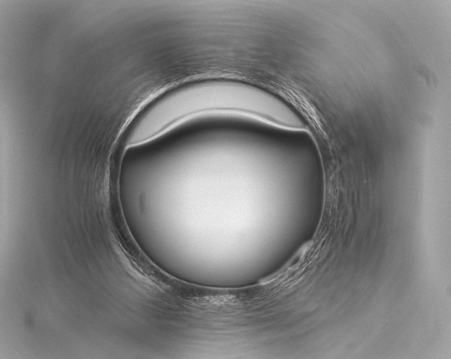 X0000116020108200912041758