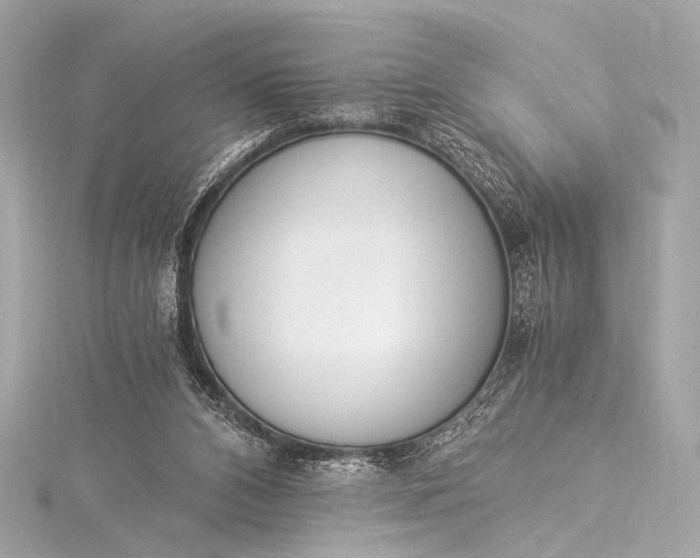 X0000116020112200912041758