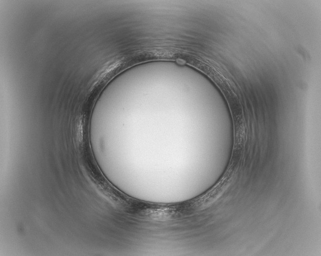 X0000116020120200912041758