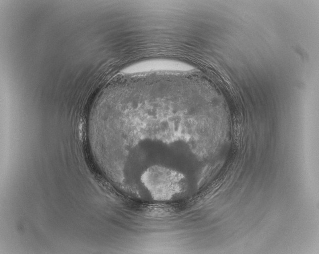 X0000116020123200912041758