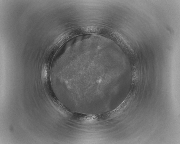 X0000116020124200912041758