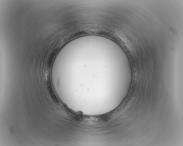 X0000116020125200912041758