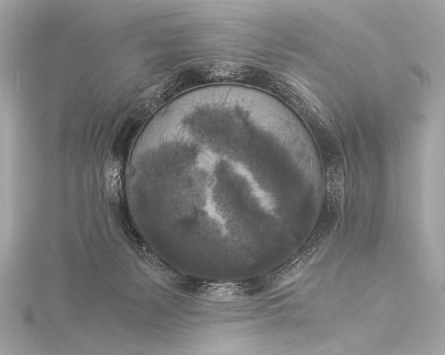 X0000116020127200912041758