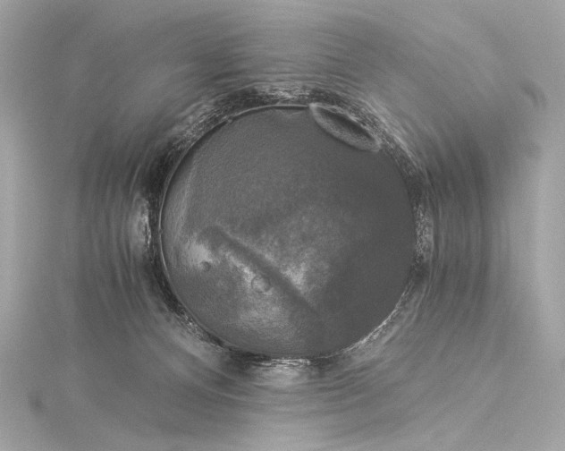 X0000116020128200912041758