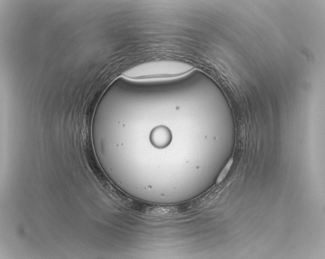 X0000116020129200912041758