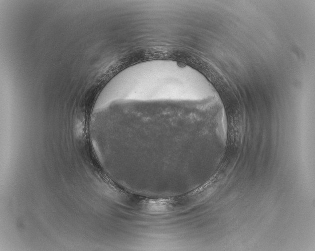 X0000116020134200912041758