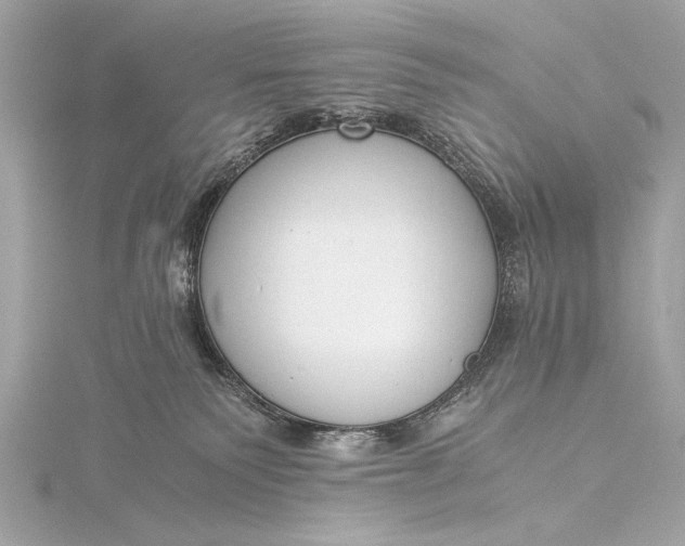 X0000116020135200912041758