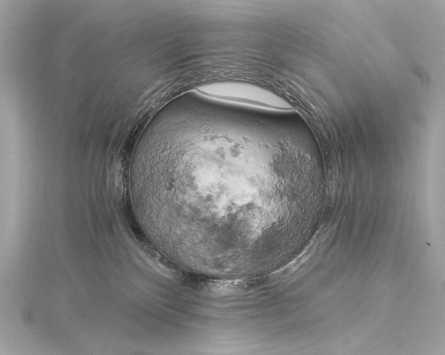 X0000116020136200912041758