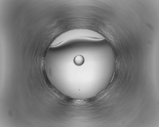 X0000116020141200912041758