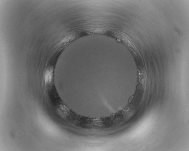 X0000116020143200912041758