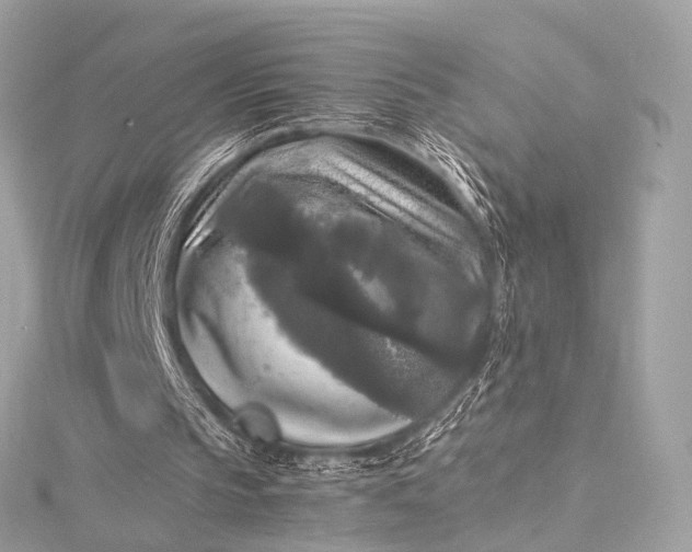 X0000116020145200912041757