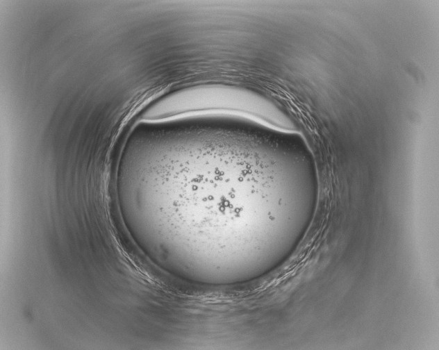 X0000116020146200912041757