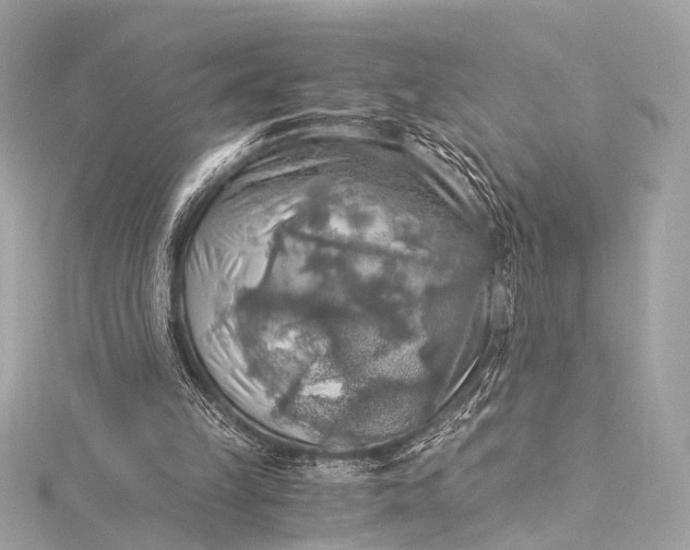 X0000116020149200912041757