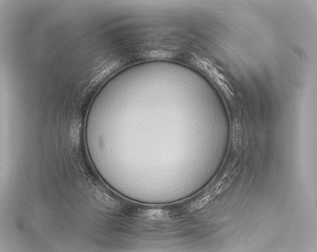 X0000116020153200912041757