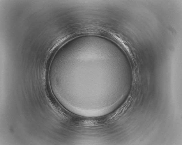 X0000116020154200912041757