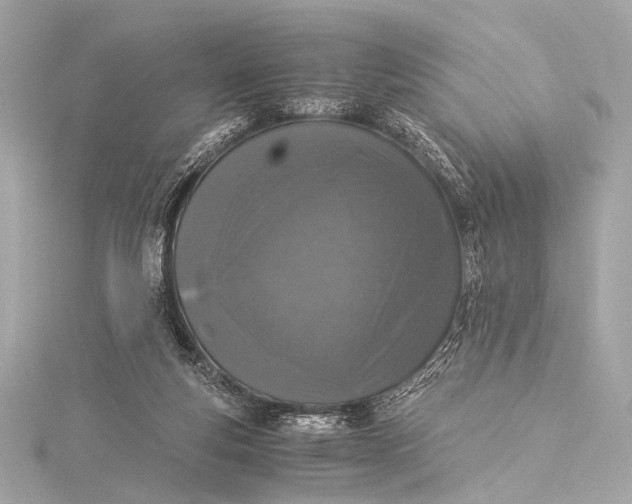 X0000116020163200912041757