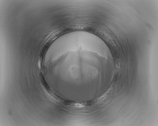 X0000116020166200912041757